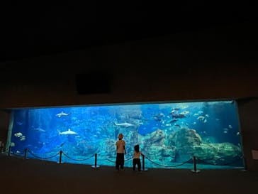 大分マリーンパレス水族館 「うみたまご」に投稿された画像（2021/10/15）