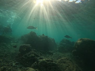 武藤潜水に投稿された画像（2021/10/15）