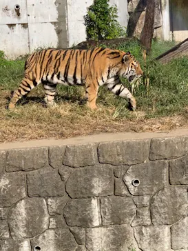 天王寺動物園に投稿された画像（2021/10/15）