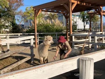 神戸どうぶつ王国に投稿された画像（2021/10/15）