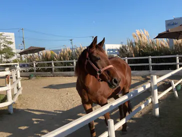 神戸どうぶつ王国に投稿された画像（2021/10/15）