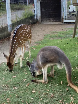 神戸どうぶつ王国に投稿された画像（2021/10/15）