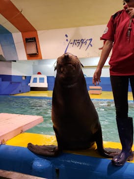 ゼロ距離水族館 伊勢シーパラダイスに投稿された画像（2021/10/15）