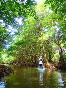 西表島 ADVENTURE PiPi（アドベンチャーピピ）に投稿された画像（2021/10/15）