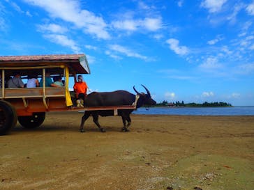 西表島 ADVENTURE PiPi（アドベンチャーピピ）に投稿された画像（2021/10/15）