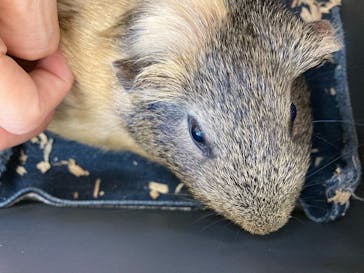 東武動物公園に投稿された画像（2021/10/15）