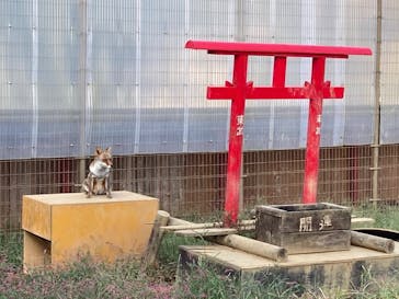 東武動物公園に投稿された画像（2021/10/15）