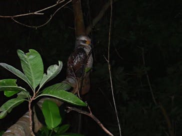 石垣島 ADVENTURE PiPi（イシガキジマアドベンチャーピピ）に投稿された画像（2021/10/15）