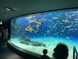 サンシャイン水族館に投稿された画像（2021/10/15）