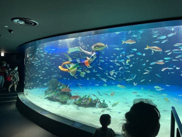 サンシャイン水族館に投稿された画像（2021/10/15）