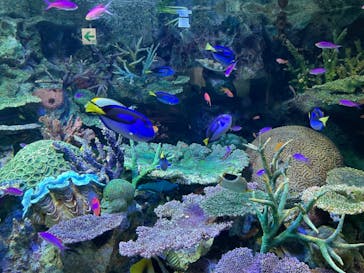 サンシャイン水族館に投稿された画像（2021/10/15）