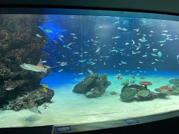 サンシャイン水族館に投稿された画像（2021/10/15）