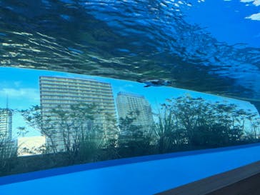 サンシャイン水族館に投稿された画像（2021/10/15）