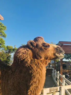 神戸どうぶつ王国に投稿された画像（2021/10/15）