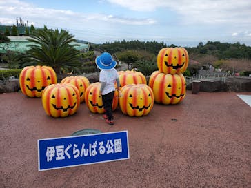 伊豆ぐらんぱる公園に投稿された画像（2021/10/15）