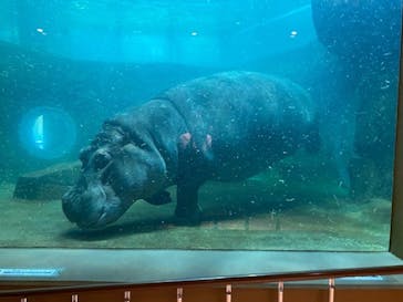 旭川市旭山動物園に投稿された画像（2021/10/16）