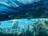 サンシャイン水族館に投稿された画像（2021/10/16）
