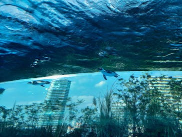サンシャイン水族館に投稿された画像（2021/10/16）