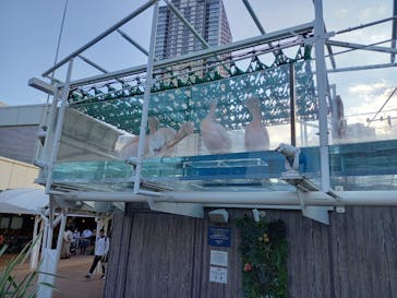 サンシャイン水族館に投稿された画像（2021/10/16）