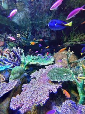 サンシャイン水族館に投稿された画像（2021/10/16）