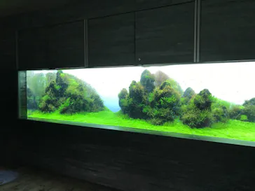 すみだ水族館に投稿された画像（2021/10/16）