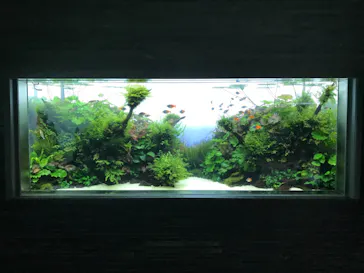 すみだ水族館に投稿された画像（2021/10/16）