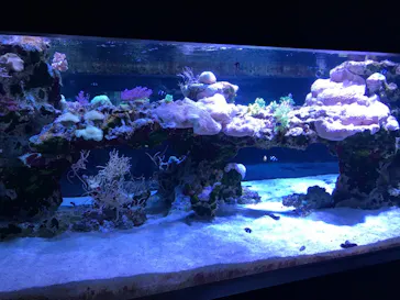 すみだ水族館に投稿された画像（2021/10/16）