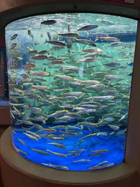 しながわ水族館に投稿された画像（2021/10/16）