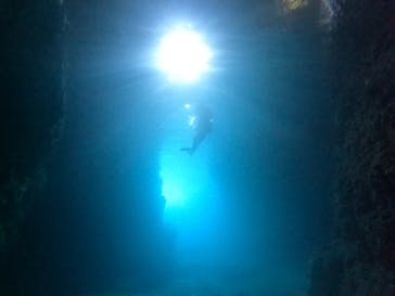 DIVING-SHOP SUNSに投稿された画像（2021/10/16）