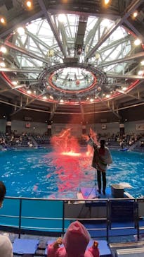 マクセル アクアパーク品川に投稿された画像（2021/10/16）