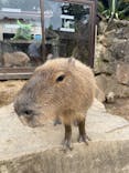 伊豆シャボテン動物公園に投稿された画像（2021/10/16）