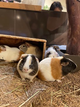 伊豆シャボテン動物公園に投稿された画像（2021/10/16）