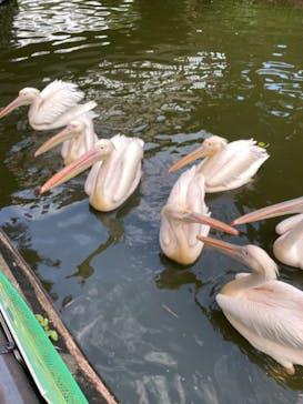 伊豆シャボテン動物公園に投稿された画像（2021/10/16）