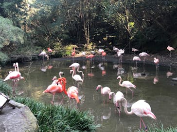 長崎バイオパークに投稿された画像（2021/10/16）