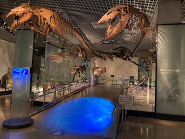 国立科学博物館に投稿された画像（2021/10/16）