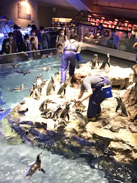 すみだ水族館に投稿された画像（2021/10/16）