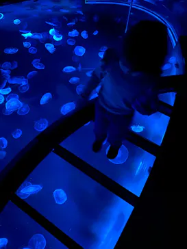 すみだ水族館に投稿された画像（2021/10/16）