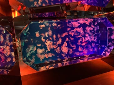 名古屋港水族館に投稿された画像（2021/10/16）