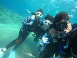 diving&workshop IHANASHI（ダイビングアンドワークショップイハナシ）に投稿された画像（2021/10/16）
