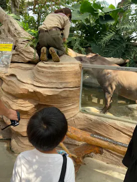 神戸どうぶつ王国に投稿された画像（2021/10/16）