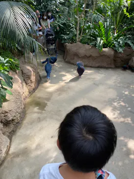 神戸どうぶつ王国に投稿された画像（2021/10/16）