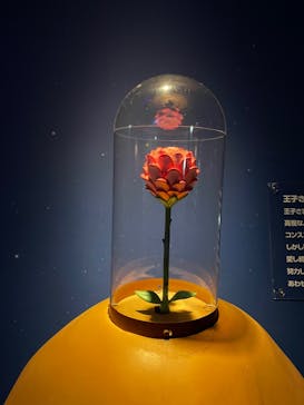 星の王子さまミュージアム 箱根サン=テグジュペリに投稿された画像（2021/10/16）