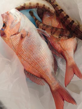 サルワーレ（周防大島店）に投稿された画像（2021/10/16）