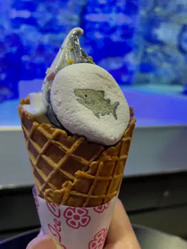 すみだ水族館に投稿された画像（2021/10/16）