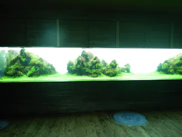 すみだ水族館に投稿された画像（2021/10/16）