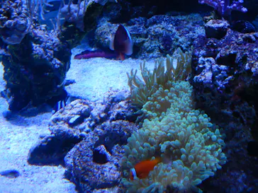 すみだ水族館に投稿された画像（2021/10/16）