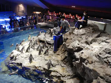 すみだ水族館に投稿された画像（2021/10/16）