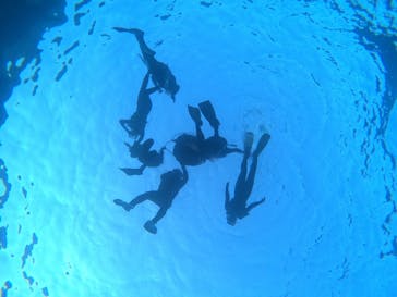 武藤潜水に投稿された画像（2021/10/16）