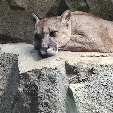 神戸どうぶつ王国に投稿された画像（2021/10/16）