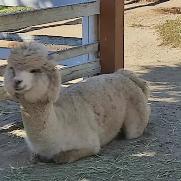 神戸どうぶつ王国に投稿された画像（2021/10/16）